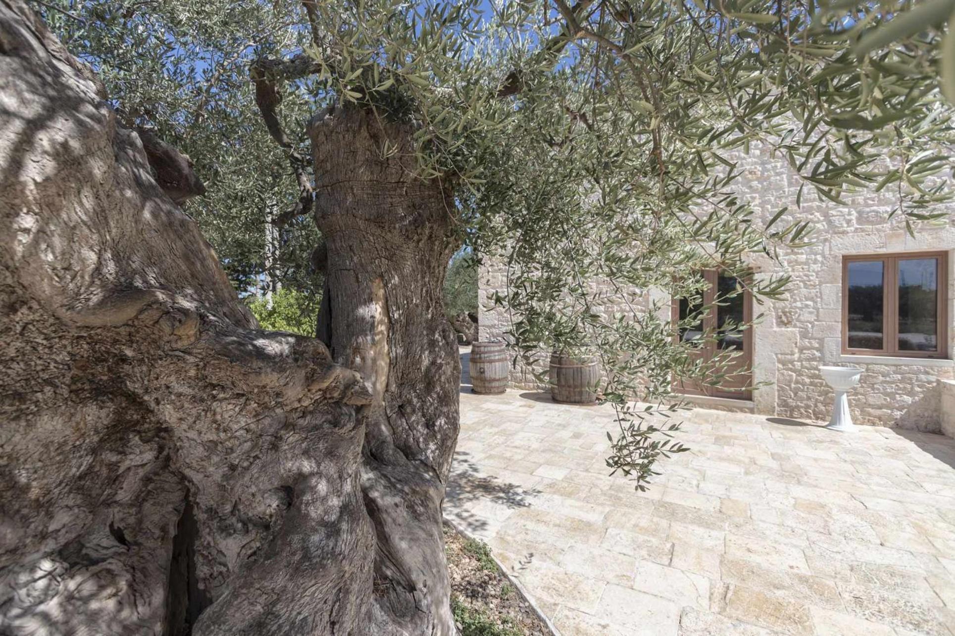Masseria Fanizzi Conversano Room photo